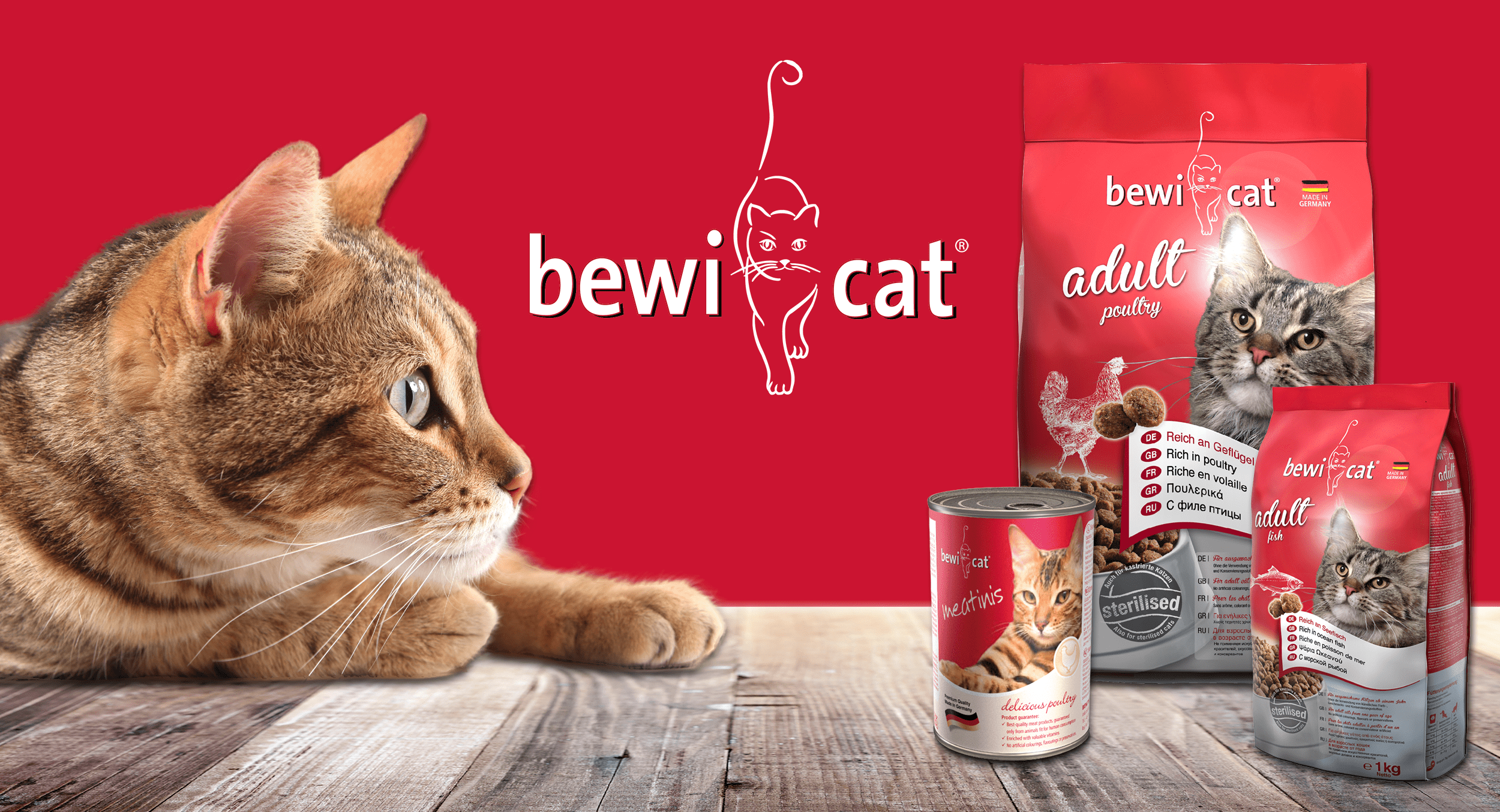 Bewi Cat 1