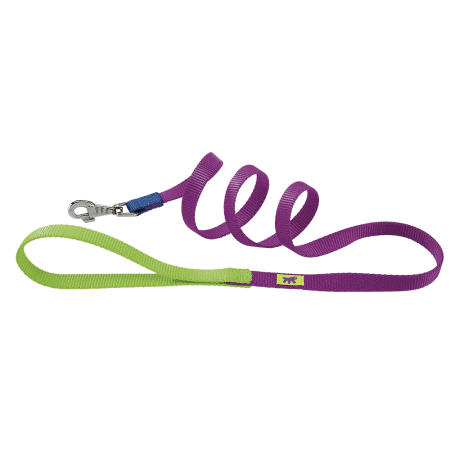 Aquapet Club G Colors nylon dog leash in vibrant green and purple, featuring an anti-twist snap-hook for secure walks