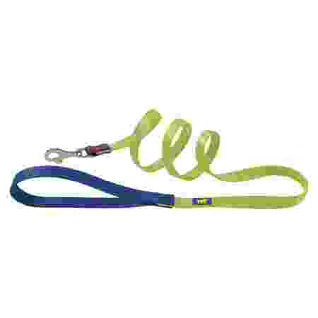Club G Colors pet accessory vibrant design