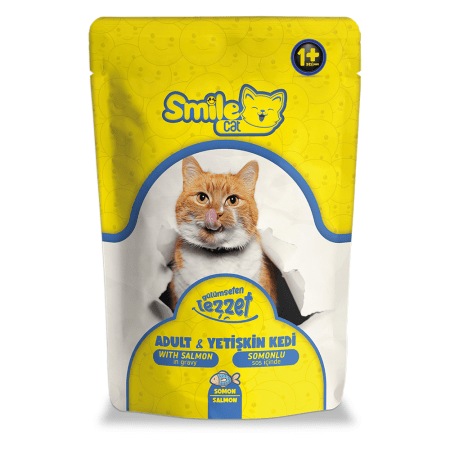 Smile Adult Salmon 100g