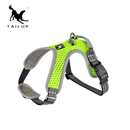 Tailup Breezy QFXB-S breathable mesh dog harness in lime green