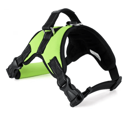 Tailup DXBD9-12 M reflective dog harness with padded straps