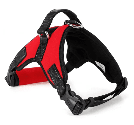 Tailup JGBD-001 A-B adjustable padded dog harness with reflective straps