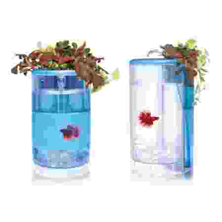 Alternative view of OF Betta Flora-Blue AT620C