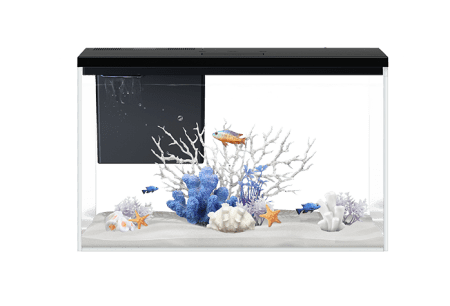 Aquapet Desktop Aquarium GR1