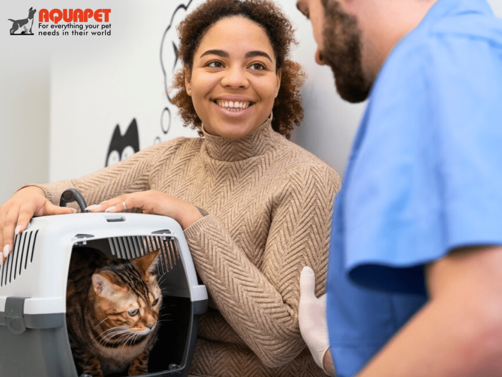 Essential cat products for Kenyan pet owners - food, toys & accessories