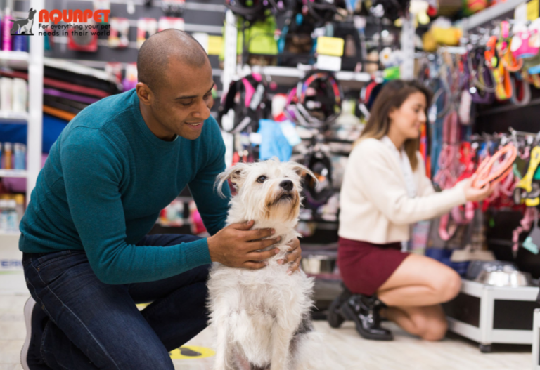 Online Pet Store Kenya