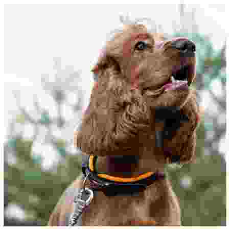 Alternative view of Ferp Ergofluo Collar 15/42