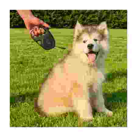 Alternative view of Ferp Flippy One Retractable Leash - S