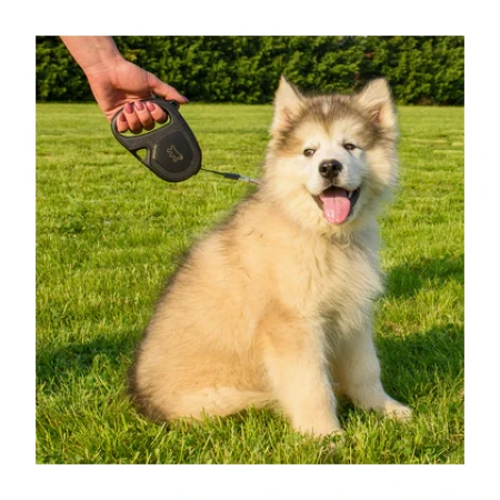 Alternative view of Ferp Flippy One Retractable Leash - S