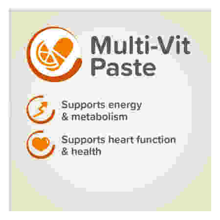 Alternative view of Beaphar Multi Vitamin Paste Cat 100G