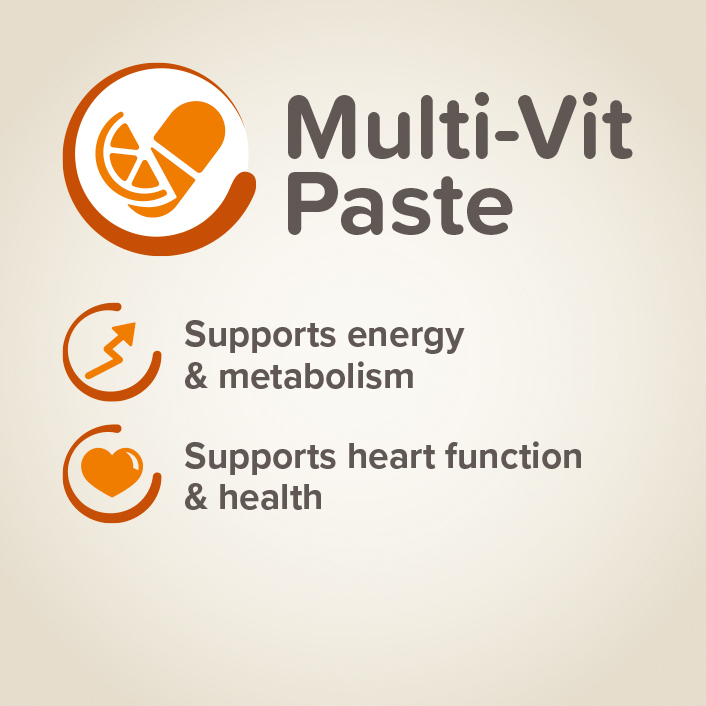 Beaphar Multi Vitamin Paste Cat 100G - Image 2