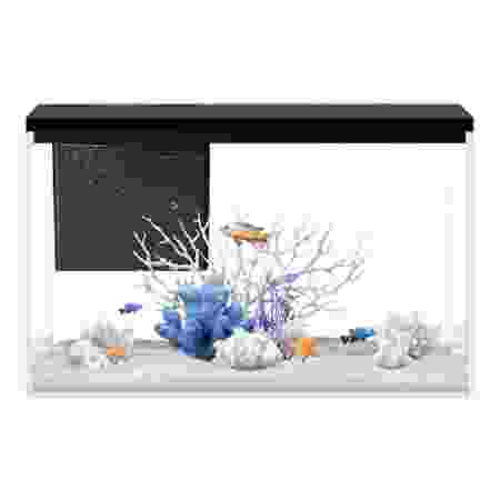 Pawgether Desktop Aquarium GR1