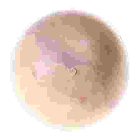 Ferplast Rubber Dog Toy Pa 6020 - S