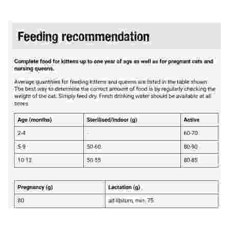 Alternative view of Leonardo Kitten 300G